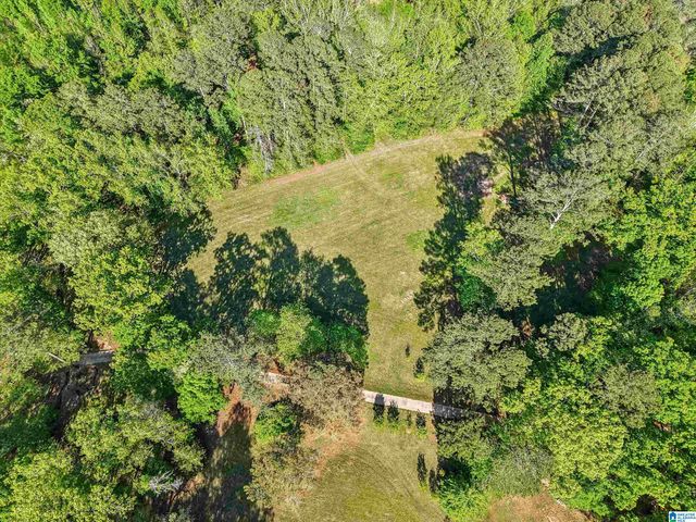 1680 HIGHWAY 174, Springville, AL 35146