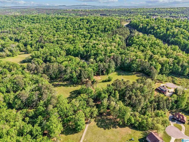 1680 HIGHWAY 174, Springville, AL 35146