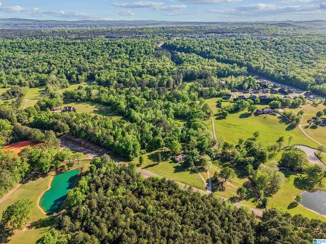 1680 HIGHWAY 174, Springville, AL 35146