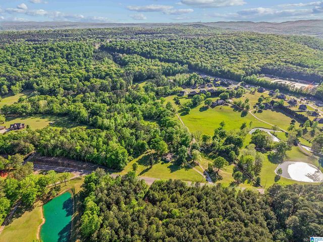 1680 HIGHWAY 174, Springville, AL 35146