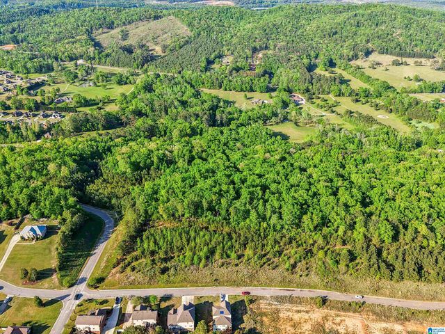 1680 HIGHWAY 174, Springville, AL 35146