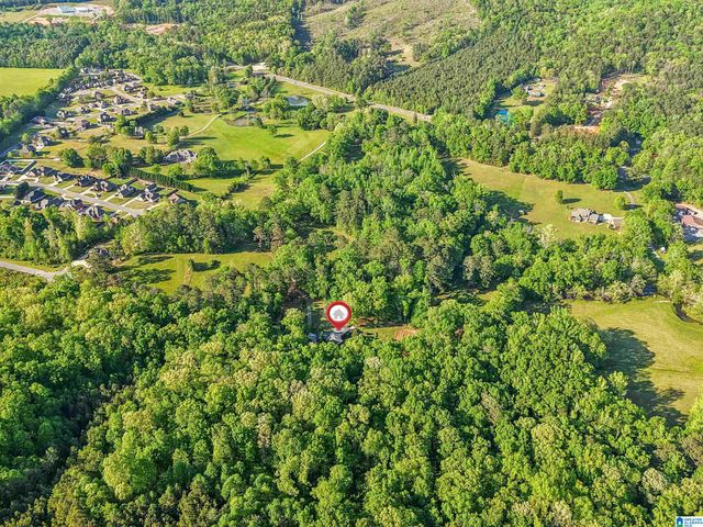 1680 HIGHWAY 174, Springville, AL 35146