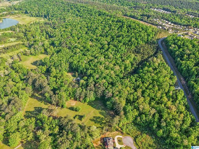 1680 HIGHWAY 174, Springville, AL 35146