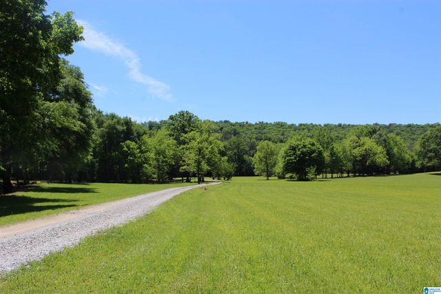 1680 HIGHWAY 174, Springville, AL 35146