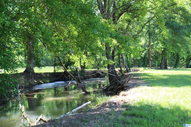 1680 HIGHWAY 174, Springville, AL 35146