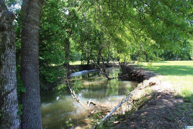 1680 HIGHWAY 174, Springville, AL 35146
