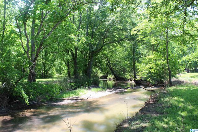 1680 HIGHWAY 174, Springville, AL 35146