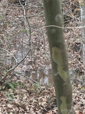 0 Freeman Road, Forest City, NC 28043