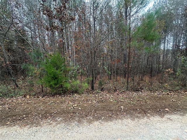 0 Freeman Road, Forest City, NC 28043