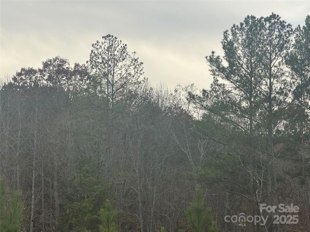 0 Freeman Road, Forest City, NC 28043