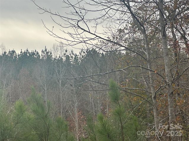 0 Freeman Road, Forest City, NC 28043