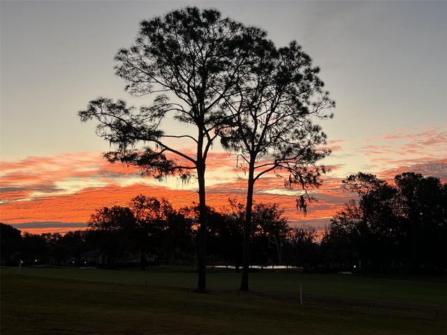 39342 HARBOR HILLS BOULEVARD, Lady Lake, FL 32159