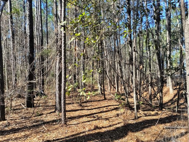 125 Knight Avenue, Summerville, SC 29483