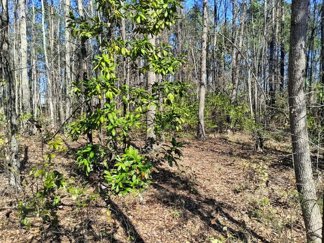 125 Knight Avenue, Summerville, SC 29483