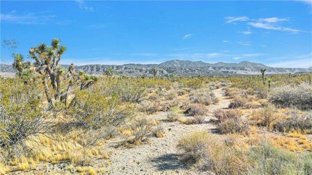 0 Avenue W, Llano, CA 93544