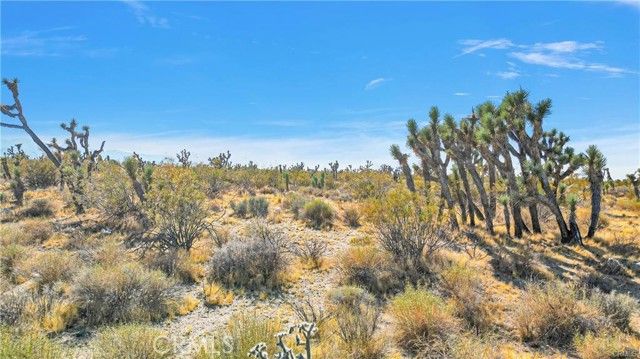 0 Avenue W, Llano, CA 93544