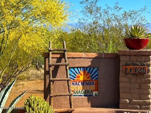 11725 E Spanish Ridge Place, Tucson, AZ 85730