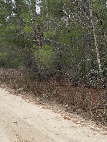 211 Suge Ln, Florahome, FL 32140