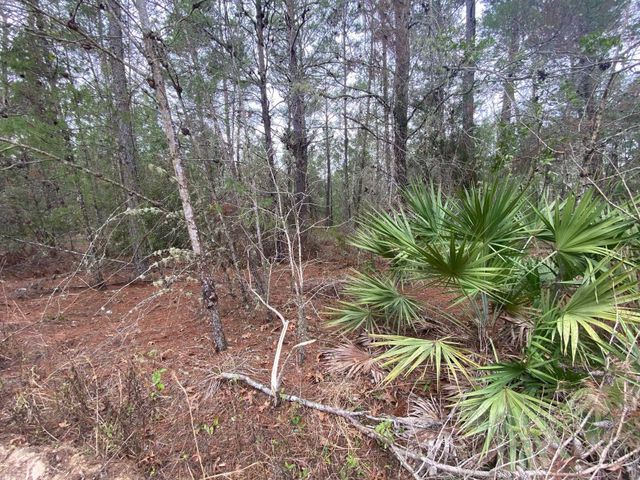 211 Suge Ln, Florahome, FL 32140