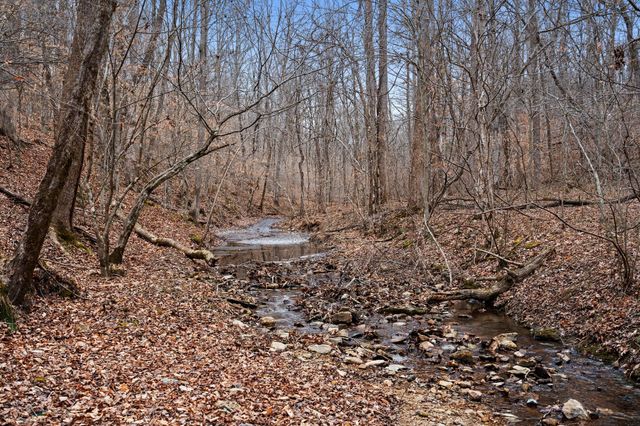 8012 Poplar Ridge Ln, Primm Springs, TN 38476