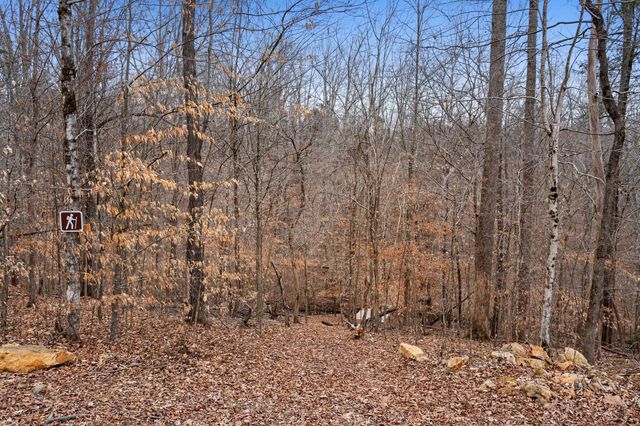 8012 Poplar Ridge Ln, Primm Springs, TN 38476