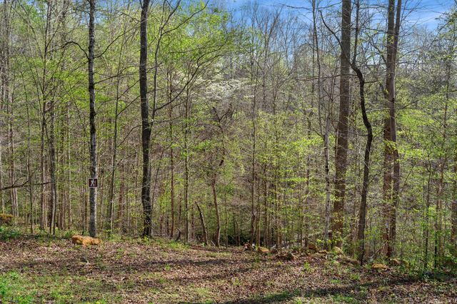 8012 Poplar Ridge Ln, Primm Springs, TN 38476