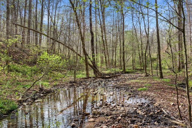 8012 Poplar Ridge Ln, Primm Springs, TN 38476