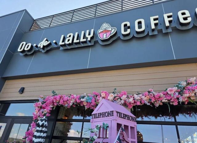 45 Oak Ridge Drive, Castle Rock, CO 80104