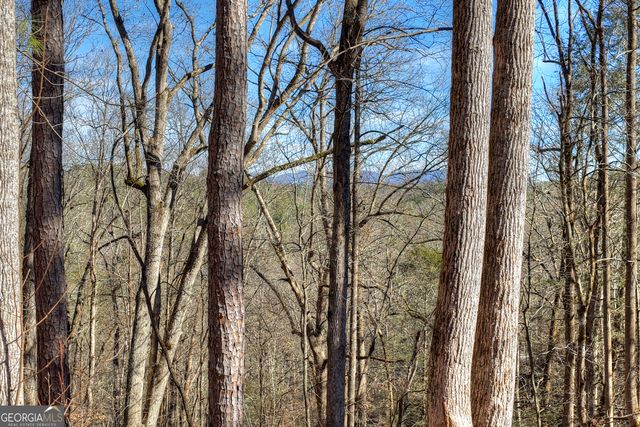 340 Chancel Circle, Ellijay, GA 30540