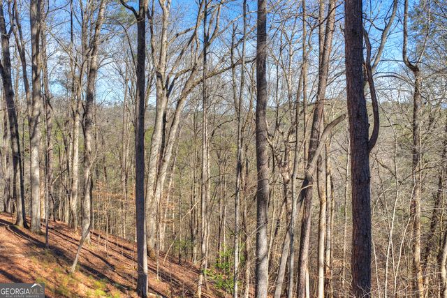 340 Chancel Circle, Ellijay, GA 30540