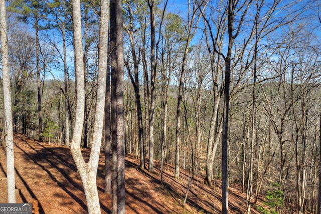340 Chancel Circle, Ellijay, GA 30540