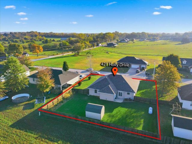 421 N Holly Drive, Buffalo, MO 65622