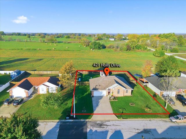421 N Holly Drive, Buffalo, MO 65622