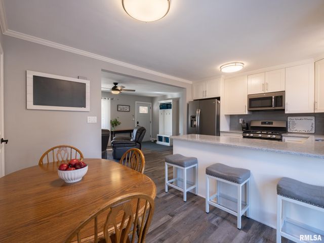 526 N LAKESHORE Drive, Hanna City, IL 61536