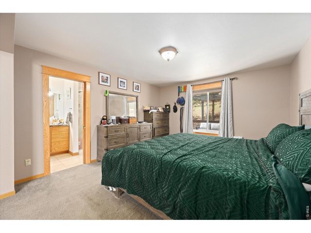 842 Unger Mountain Rd, Bellvue, CO 80512