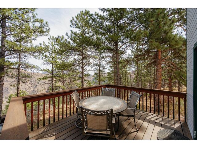 842 Unger Mountain Rd, Bellvue, CO 80512