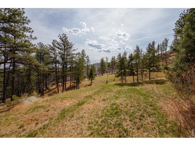 842 Unger Mountain Rd, Bellvue, CO 80512