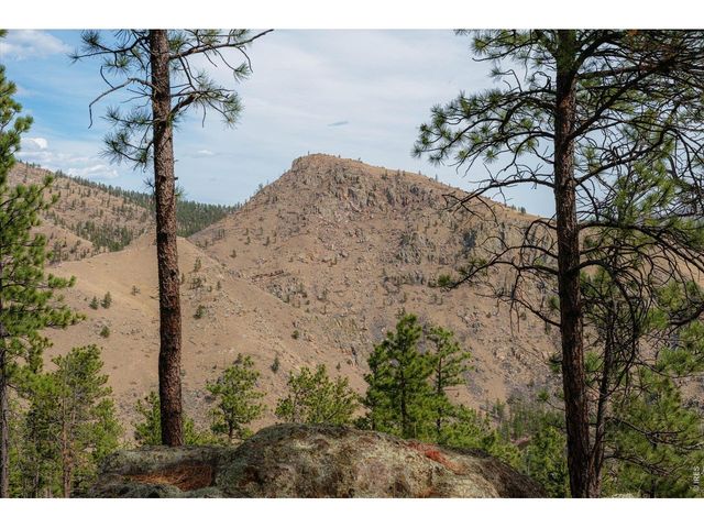 842 Unger Mountain Rd, Bellvue, CO 80512