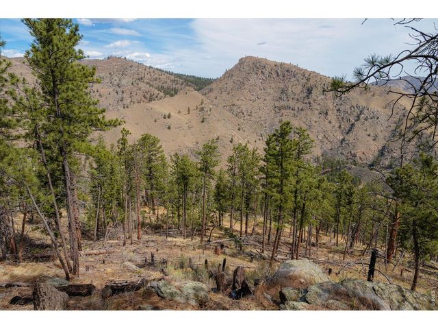 842 Unger Mountain Rd, Bellvue, CO 80512