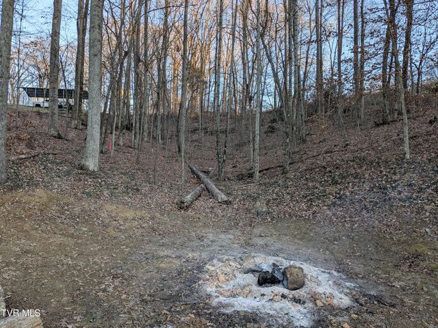 173 Pickens Road, Kingsport, TN 37663