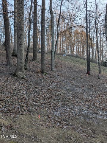 173 Pickens Road, Kingsport, TN 37663