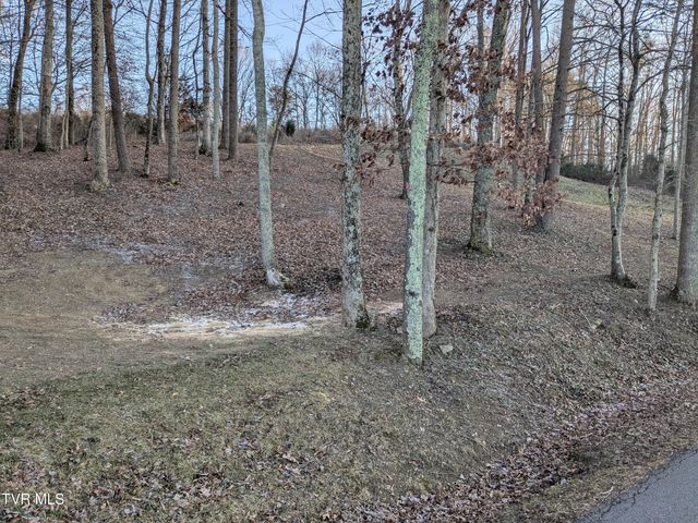 173 Pickens Road, Kingsport, TN 37663