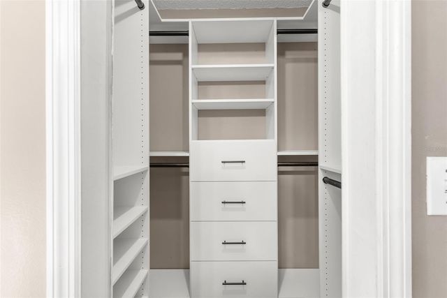 2517 GREYWALL AVENUE, Ocoee, FL 34761