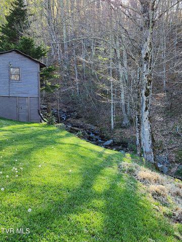 1708 Highway 143, Roan Mountain, TN 37687