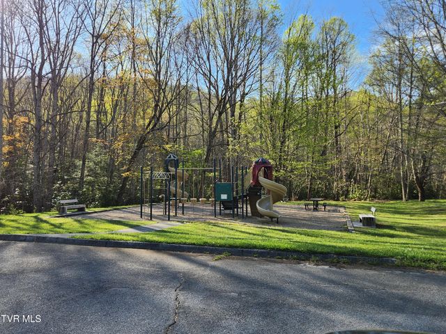1708 Highway 143, Roan Mountain, TN 37687