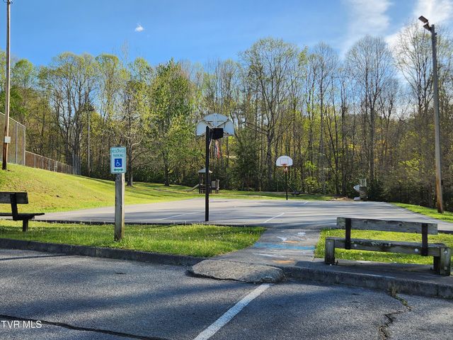 1708 Highway 143, Roan Mountain, TN 37687