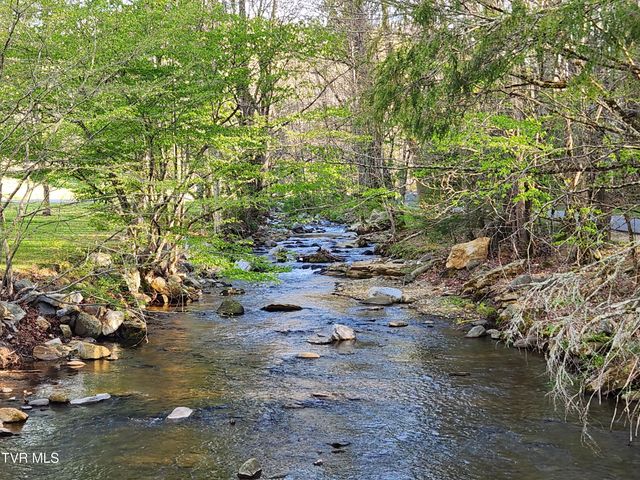 1708 Highway 143, Roan Mountain, TN 37687