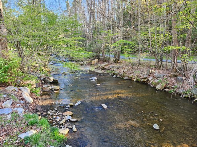 1708 Highway 143, Roan Mountain, TN 37687