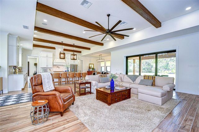 111 ALAFIA ESTATES LANE, Lithia, FL 33547