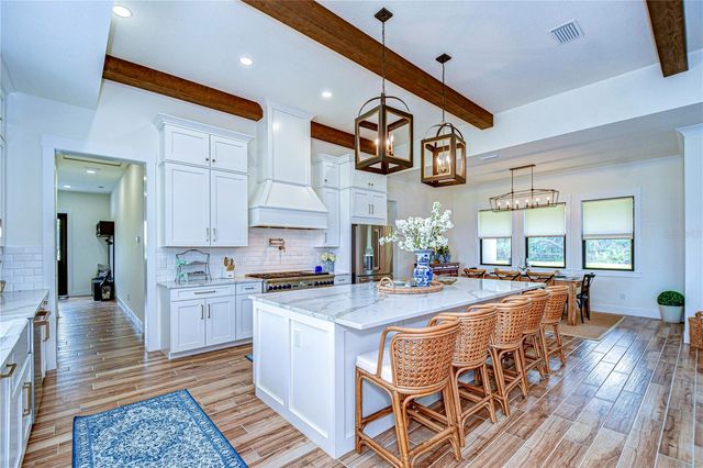 111 ALAFIA ESTATES LANE, Lithia, FL 33547